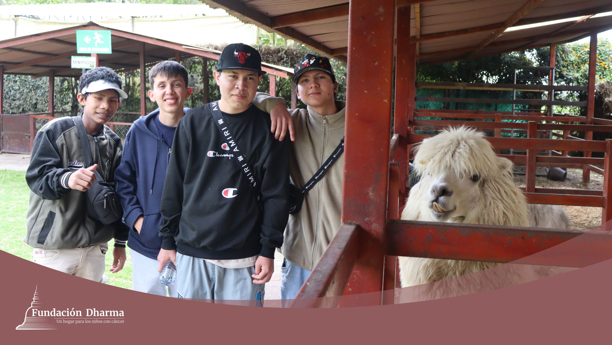 Un día mágico con ODEAA